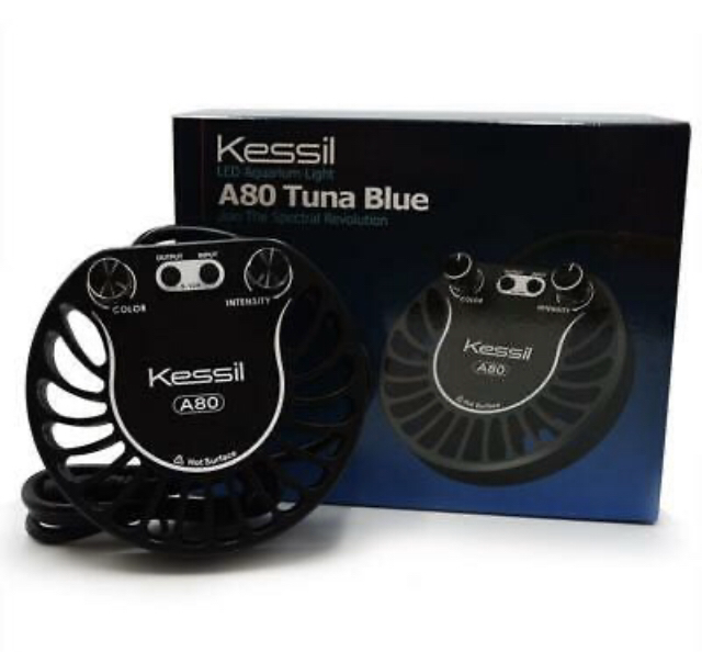 Kessil A80 Tuna Blue