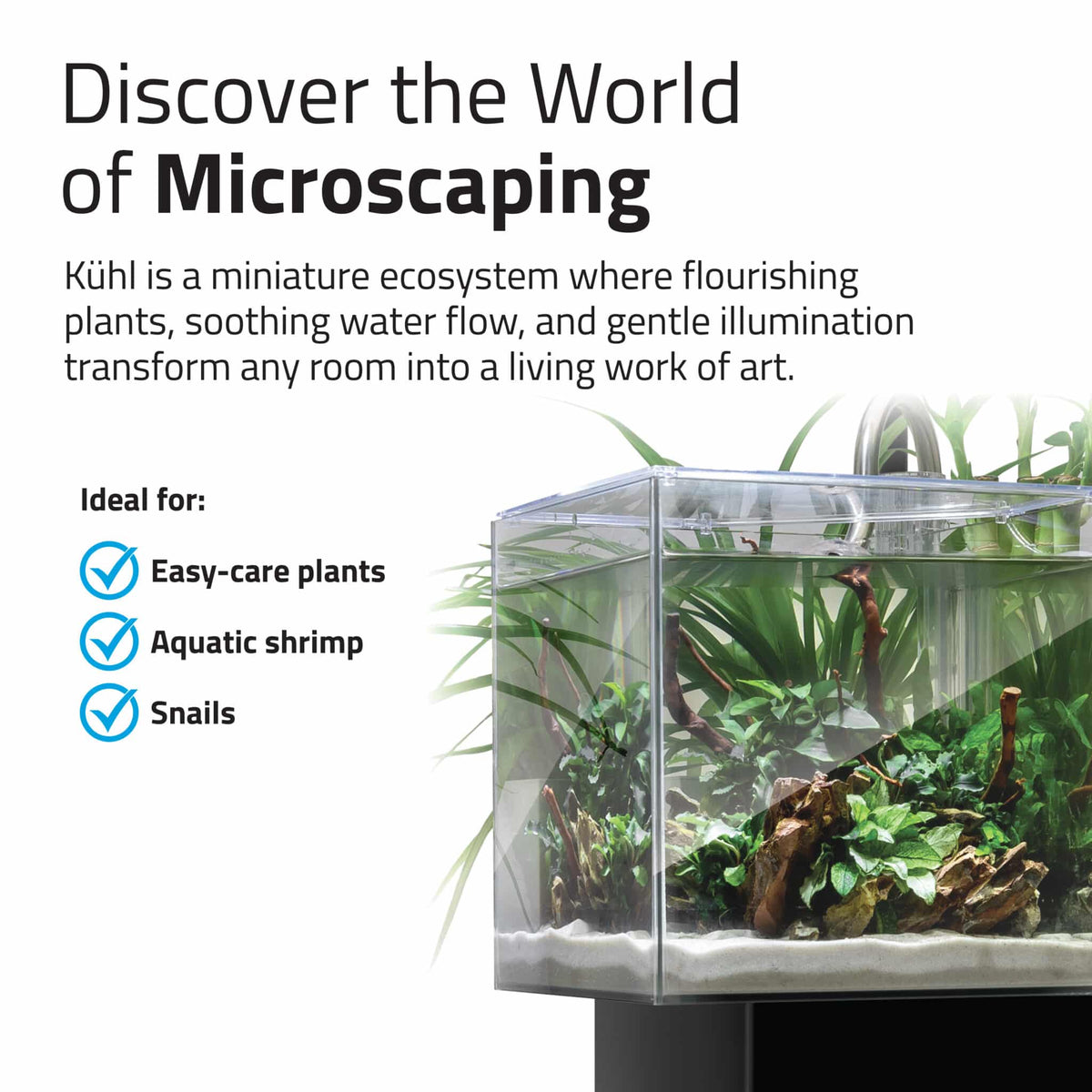 Fluval Kühl Microscaping Aquarium Kit, 2.1 US Gal / 8 L, Black Hagen Group