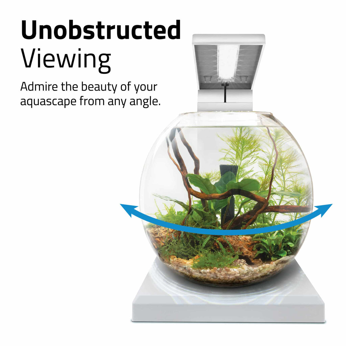 Fluval Liv Aquarium Kit, 1.6 US Gal / 6 L Hagen Group