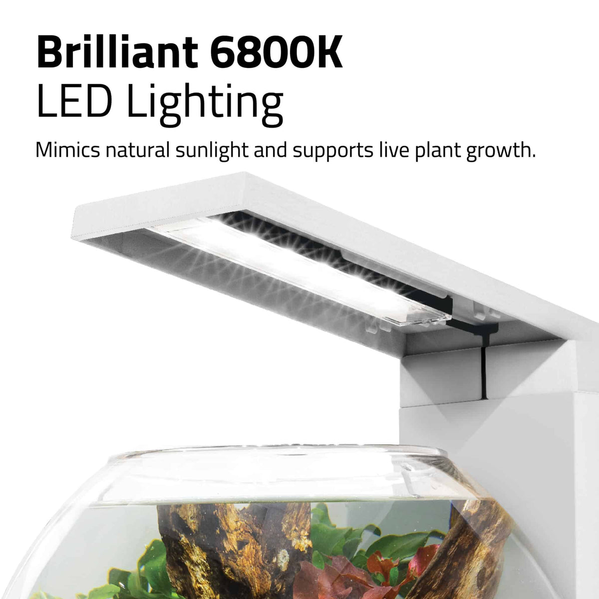 Fluval Liv Aquarium Kit, 1.6 US Gal / 6 L Hagen Group