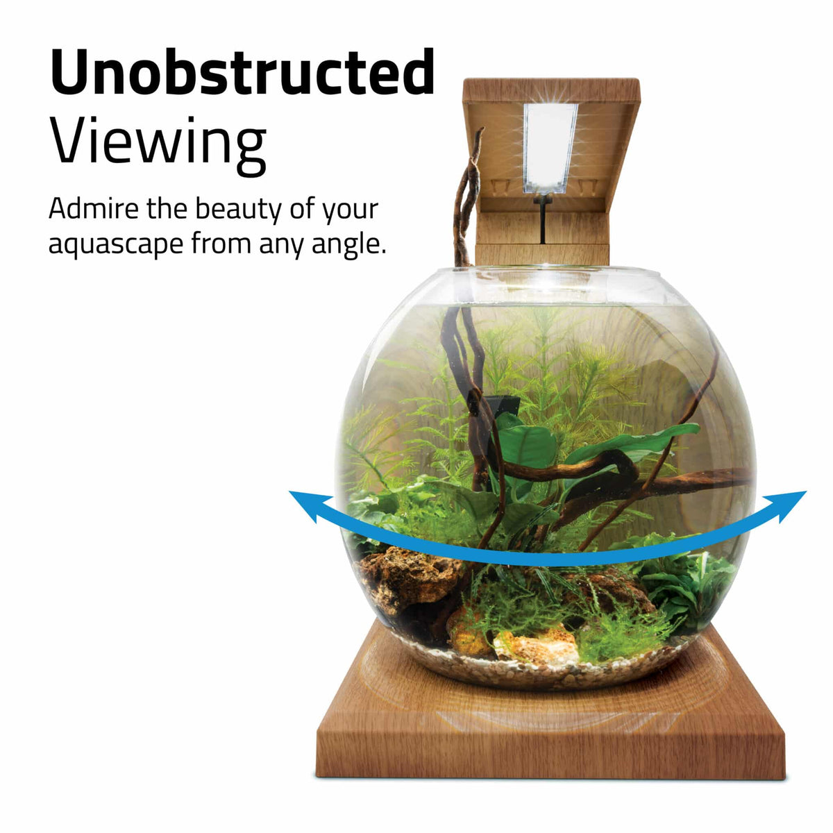 Fluval Liv Aquarium Kit, 1.6 US Gal / 6 L Hagen Group