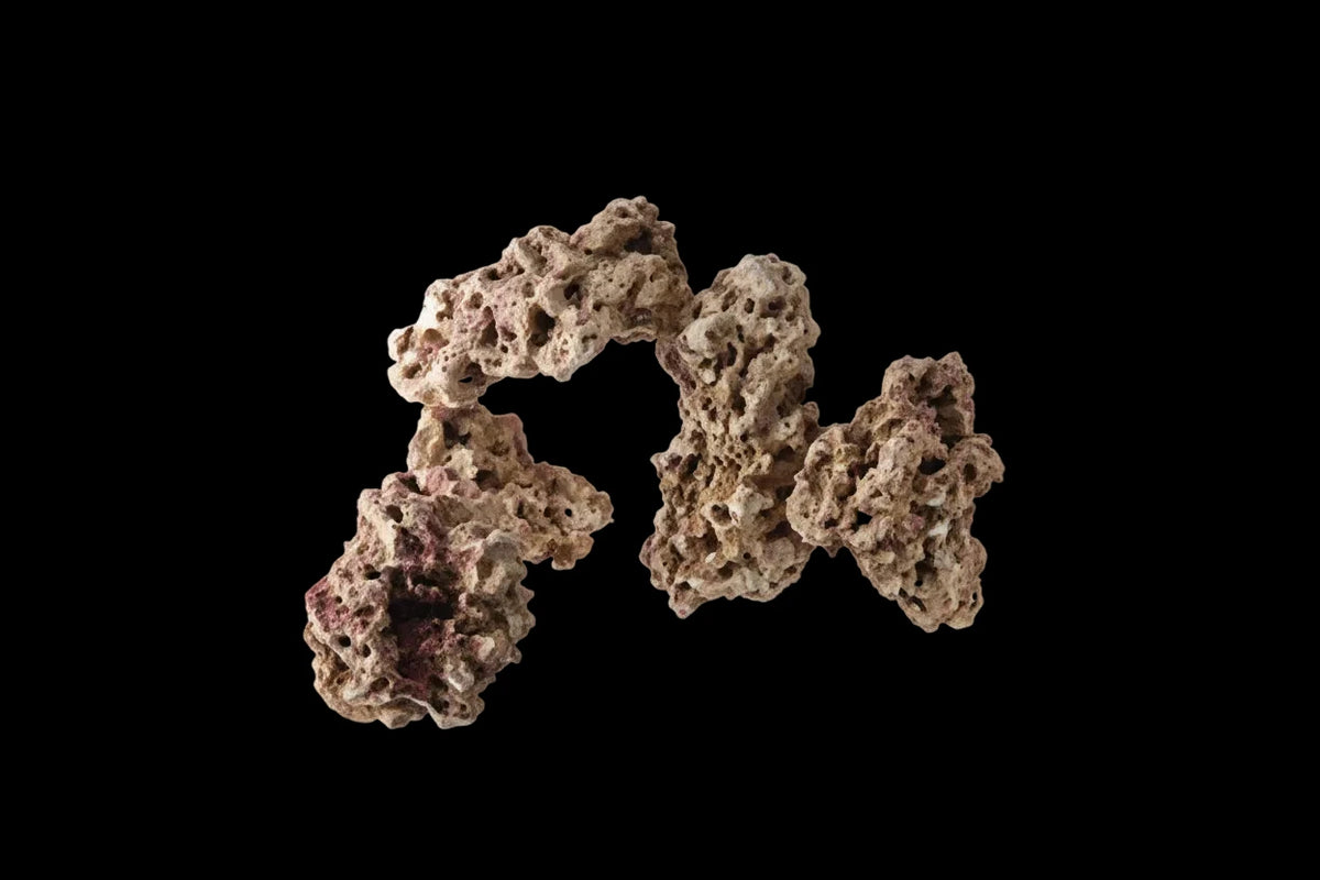 Caribsea Moani Dry Live Rock - 40lb box Concrete Blonde Aquatics