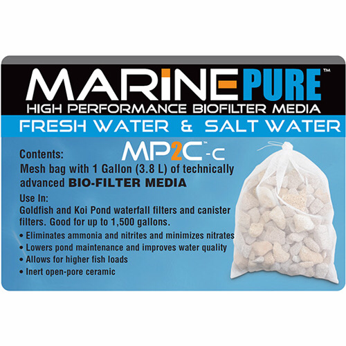 Marine Pure Media