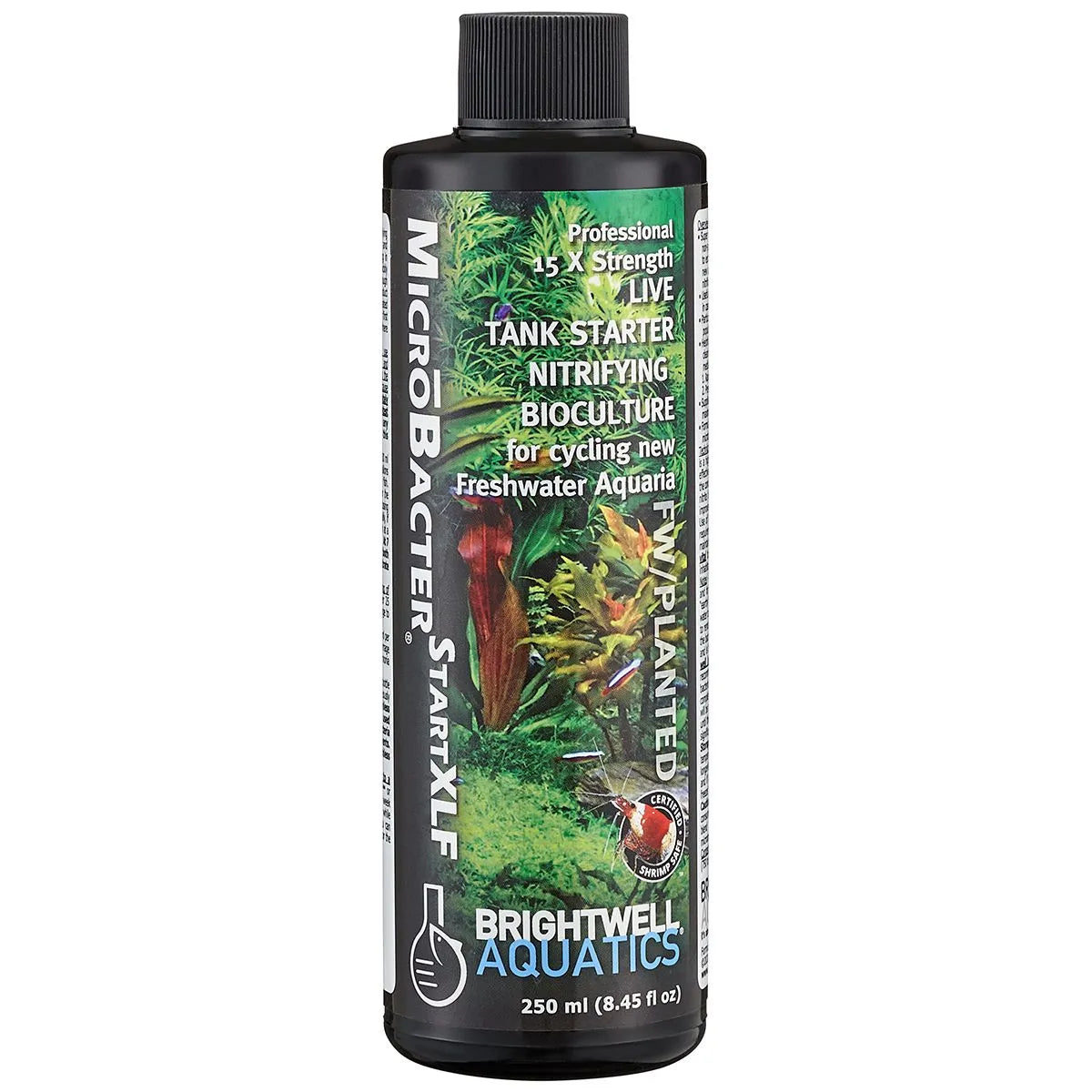 Brightwell Aquatics MicroBacter Start XLF Concrete Blonde Aquatics