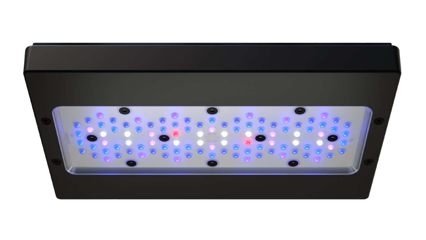 Ecotech Marine Radion G6