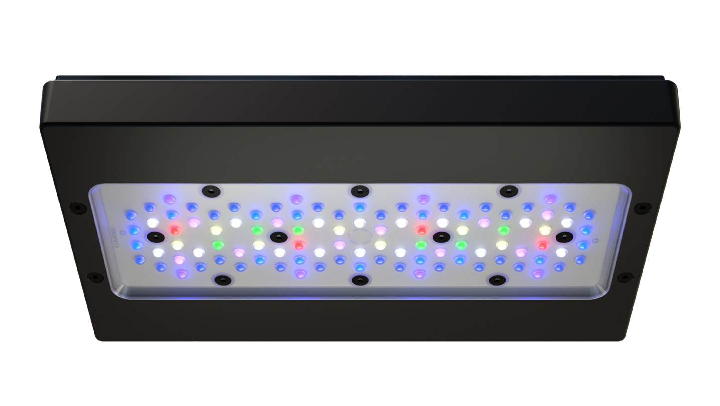 Ecotech Marine Radion G6