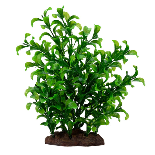 Fluval Aqualife Plant Scapes Malaking Bacopa Plant - 20 cm (8 in)
