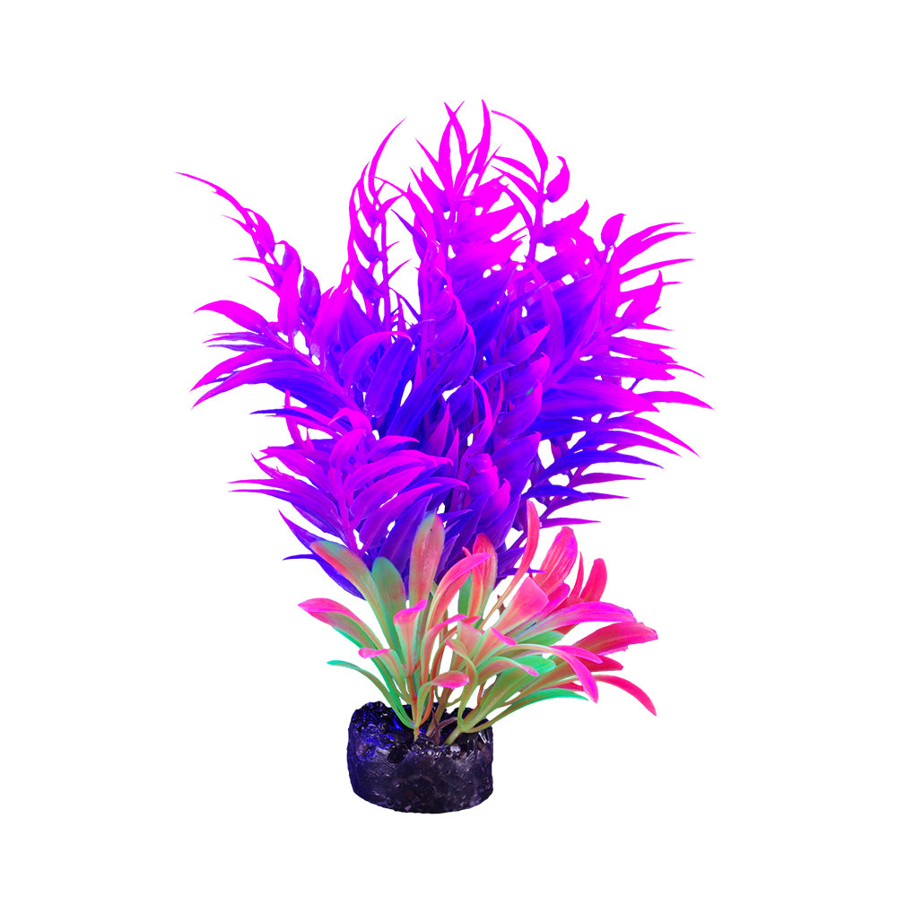 Marina iGlo Plant - 14 cm (5.5 in)