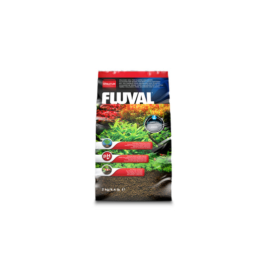 Fluval Plant at Shrimp Stratum