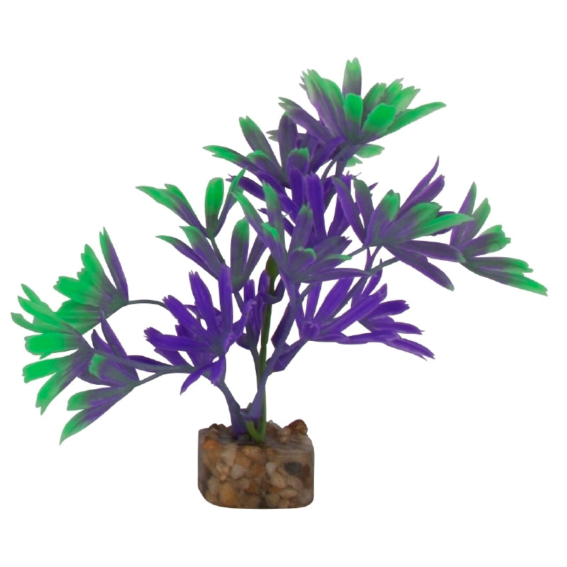 GloFish Plant Small Purple/Green