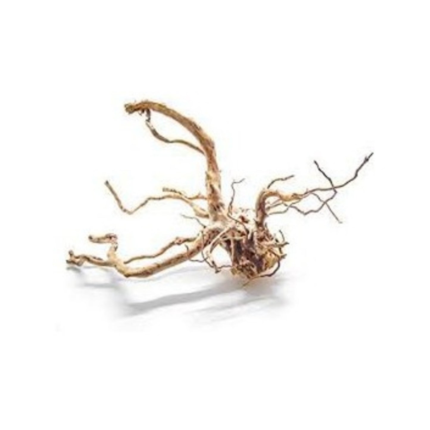 Aquaglobe Spider Wood