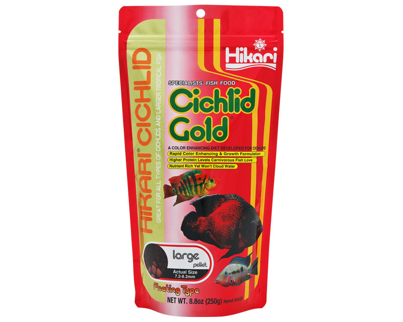 Hikari Cichlid Gold