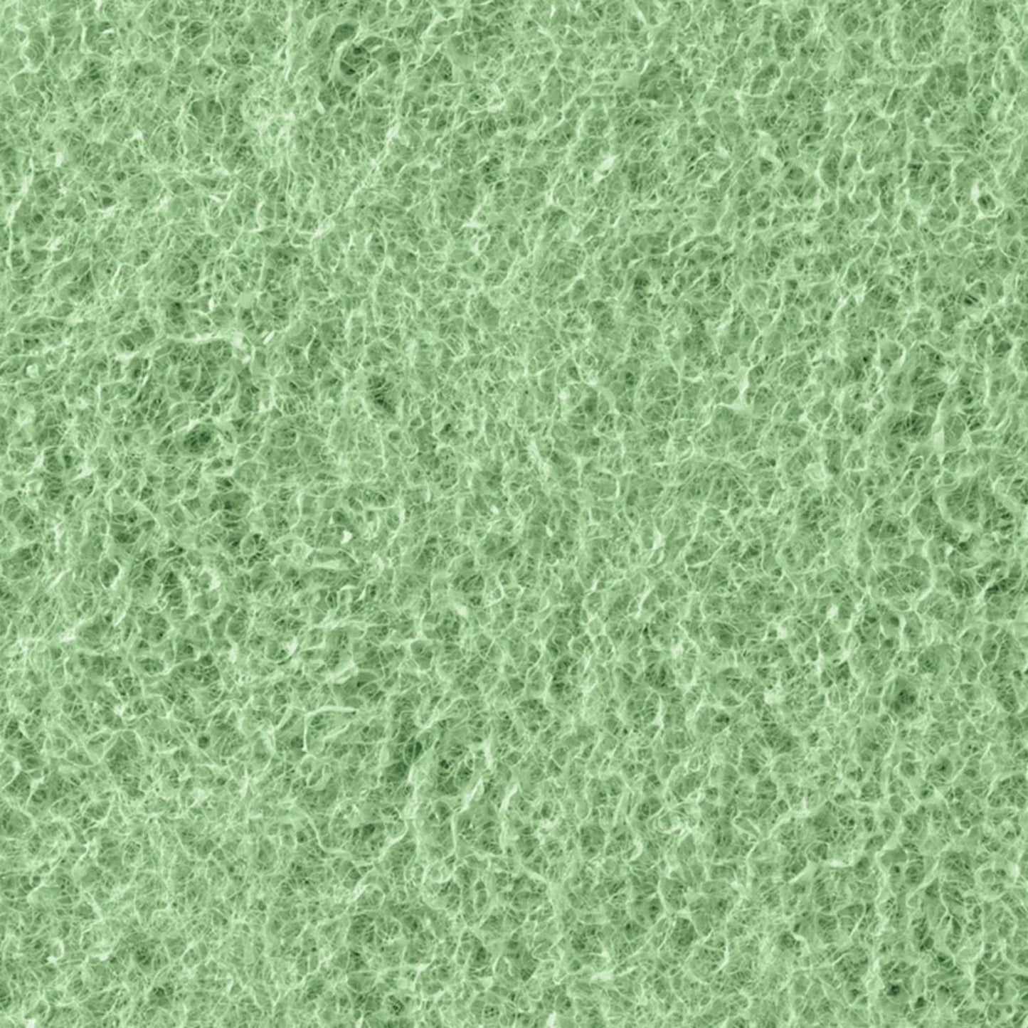 Phosphate Remover Pad