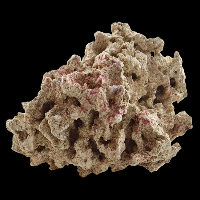 Caribsea Moani Dry Live Rock - 40lb box