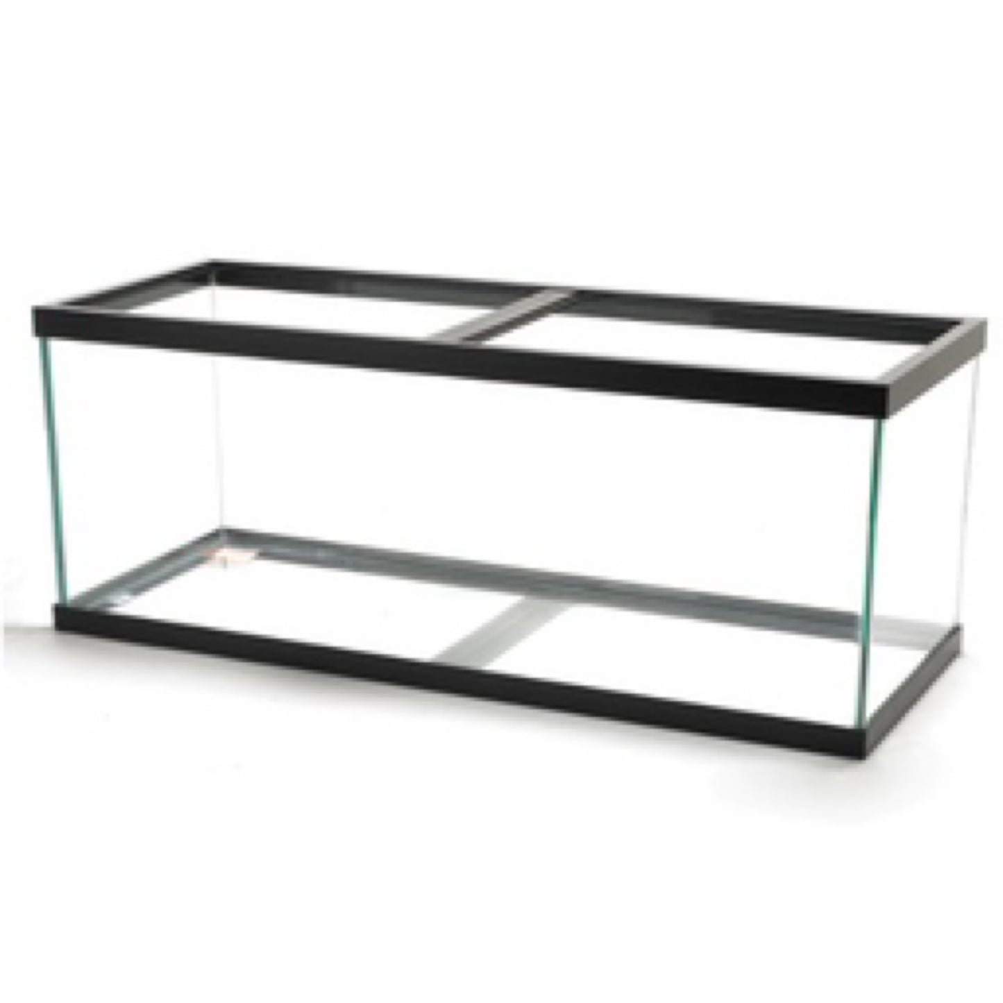 Aquarium Standard Rectangle Black Trim 40gl breeder