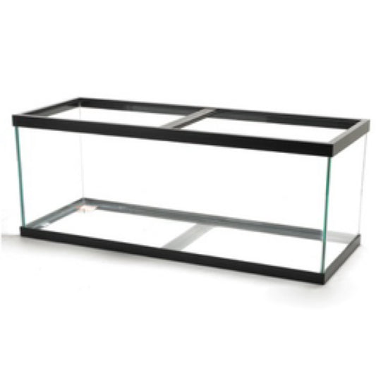 Aquarium Standard Rectangle Black Trim 40gl breeder