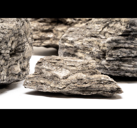 Petrified Stone bato