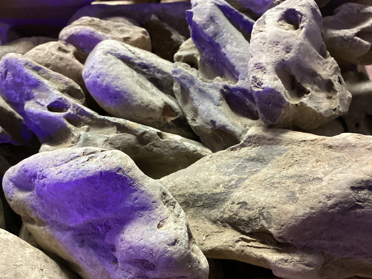 Smooth Dragon Stone Rock Concrete Blonde Aquatics