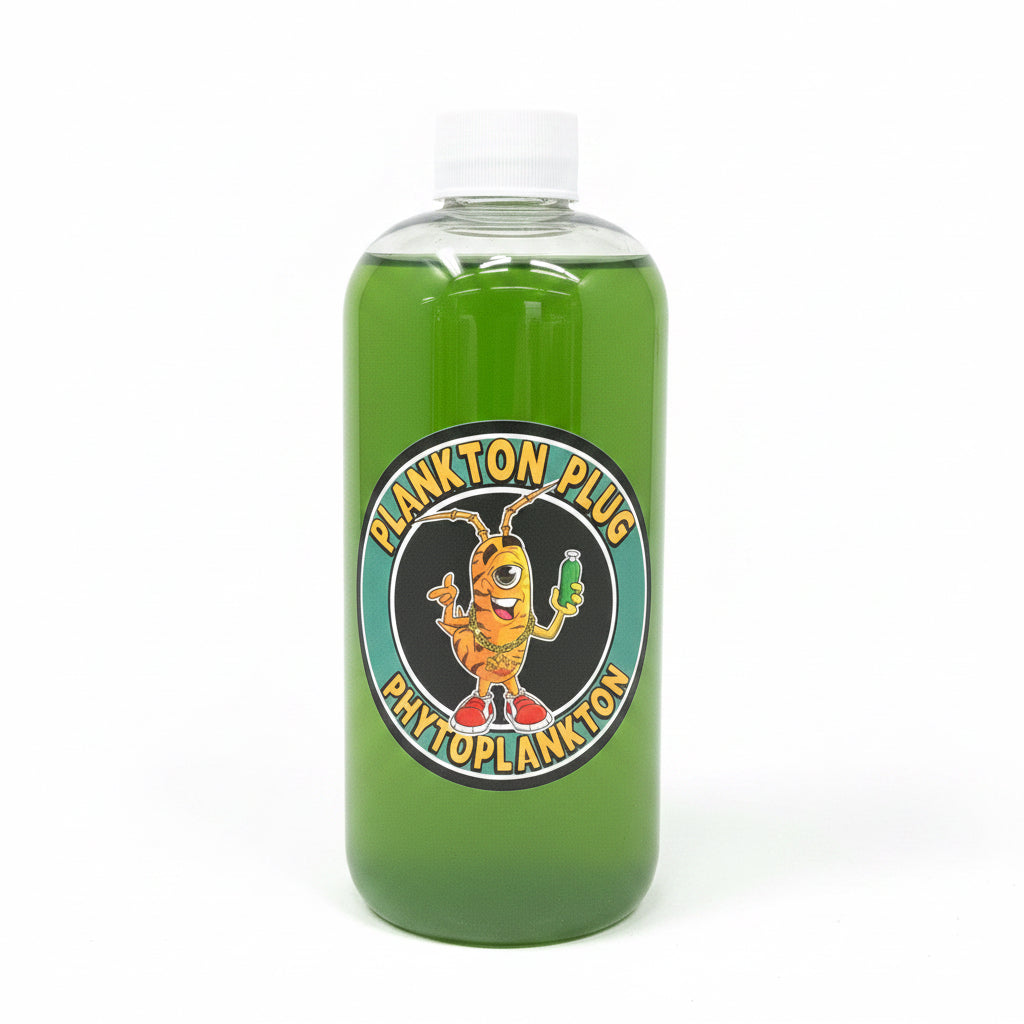 Plankton Plug Live Phytoplankton 500ml