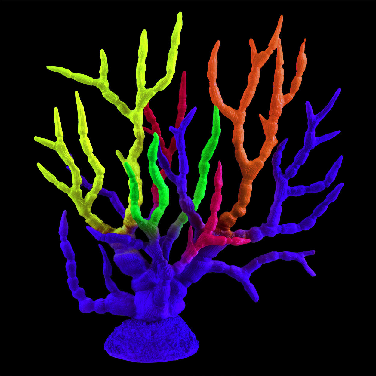 Underwater Treasures - Gorgonian Rainbow