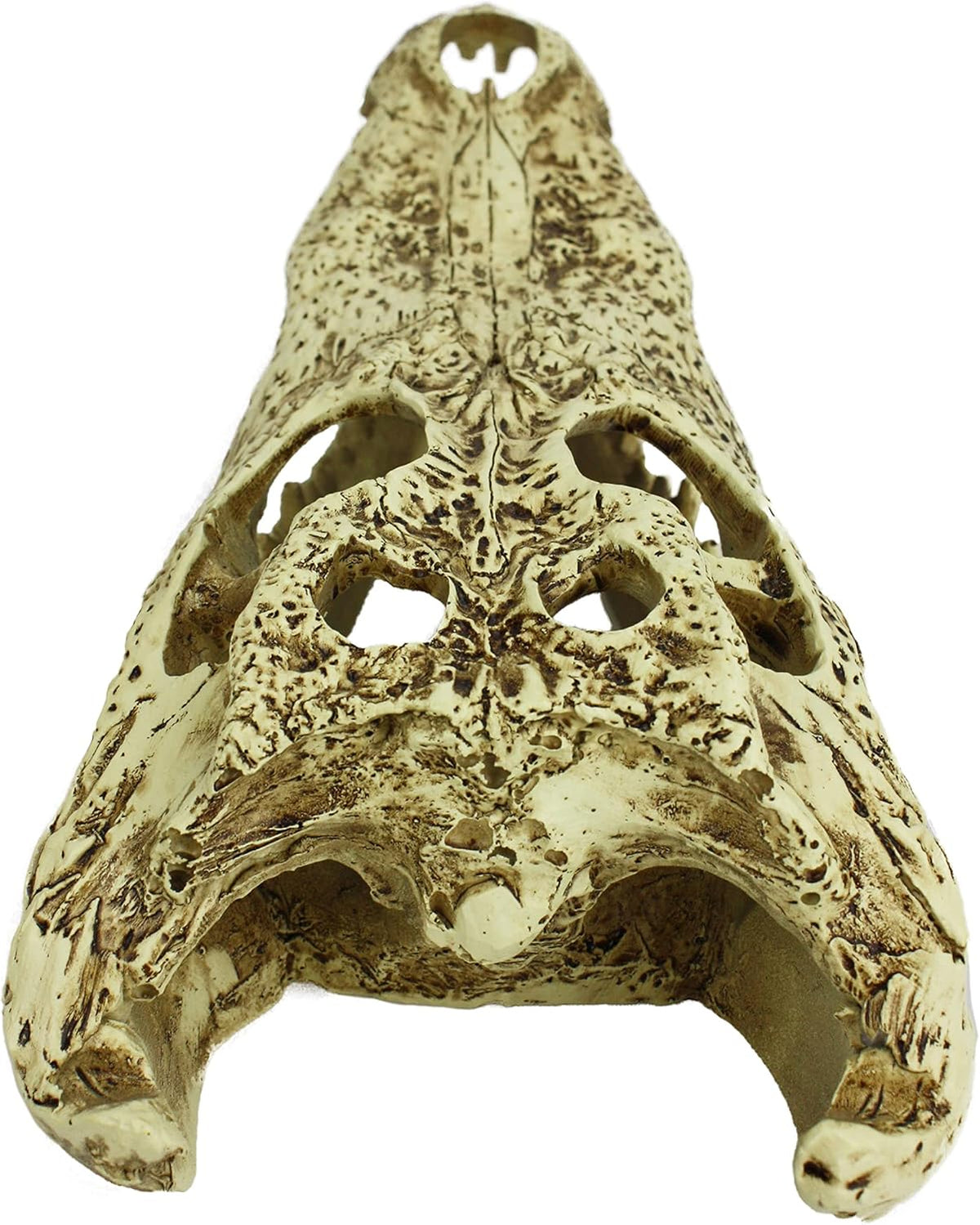 Komodo Alligator Skull Hideout - 9" Cichlid Wholesale