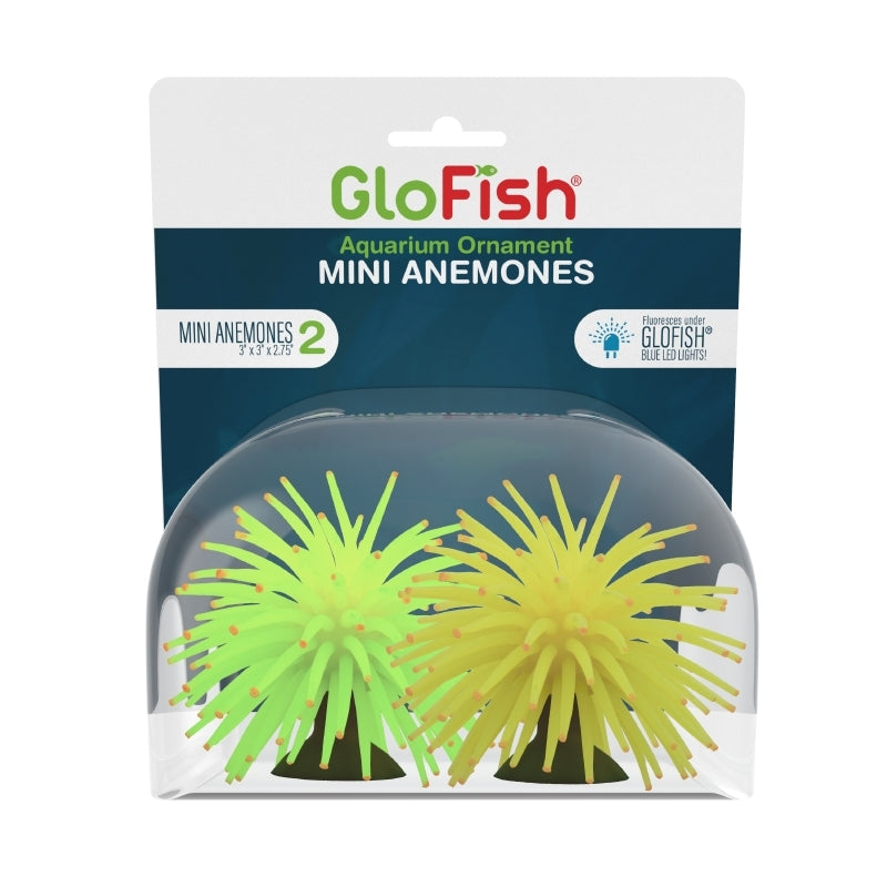 GloFish Ornament Mini Anemones Distribupet