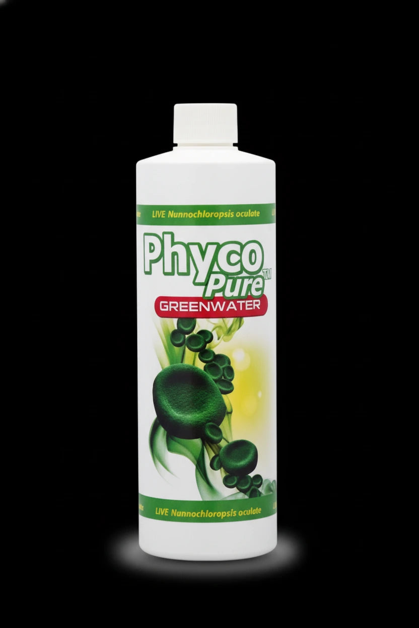 AlgaGen PhycoPure Greenwater 8 oz