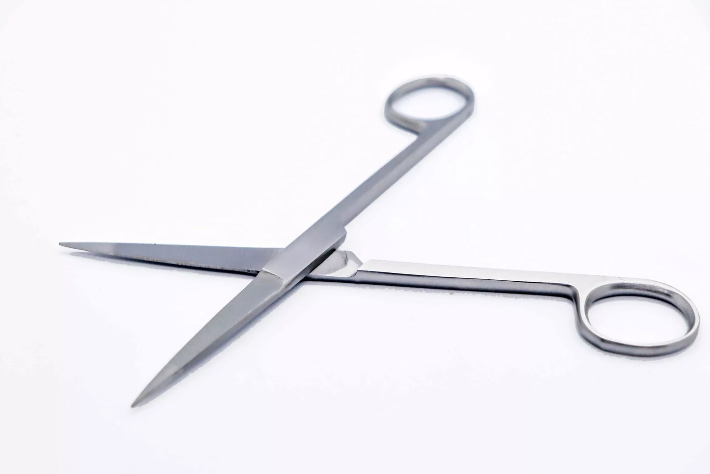 Reef Casa Scape Scissors