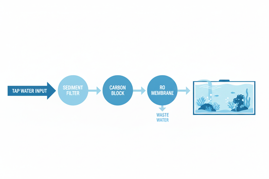 RO/DI Water for Aquariums — Why It Matters & How to Use It