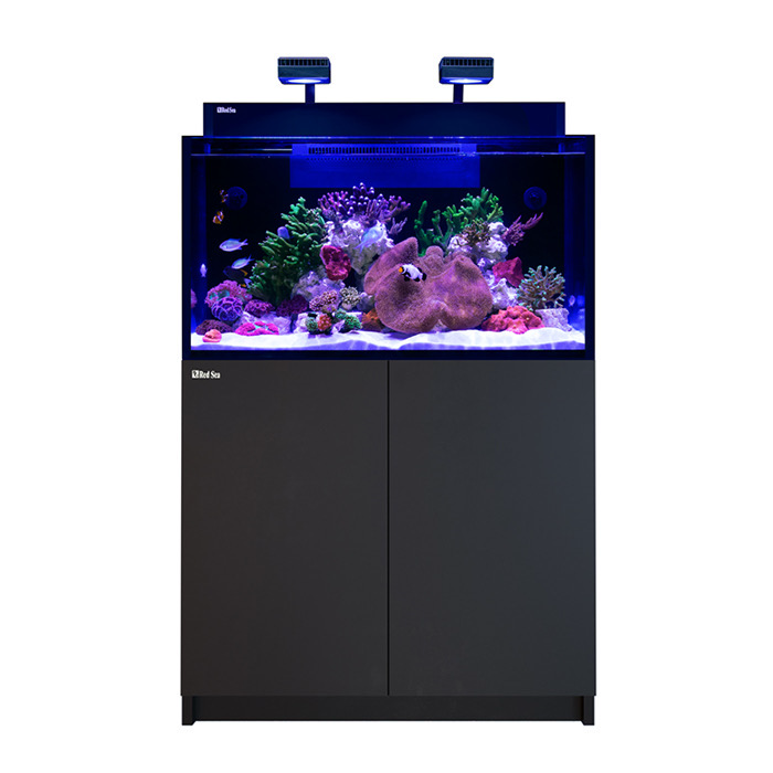 Aquariums & Stands