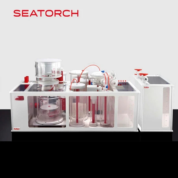 Seatorch Concrete Blonde Aquatics