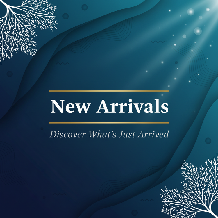New Arrivals - Square