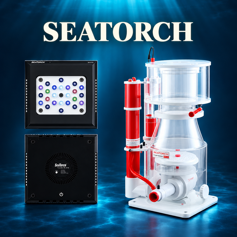 Seatorch collection preview based on actual product photos