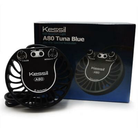 Kessil A80 Tuna Blue