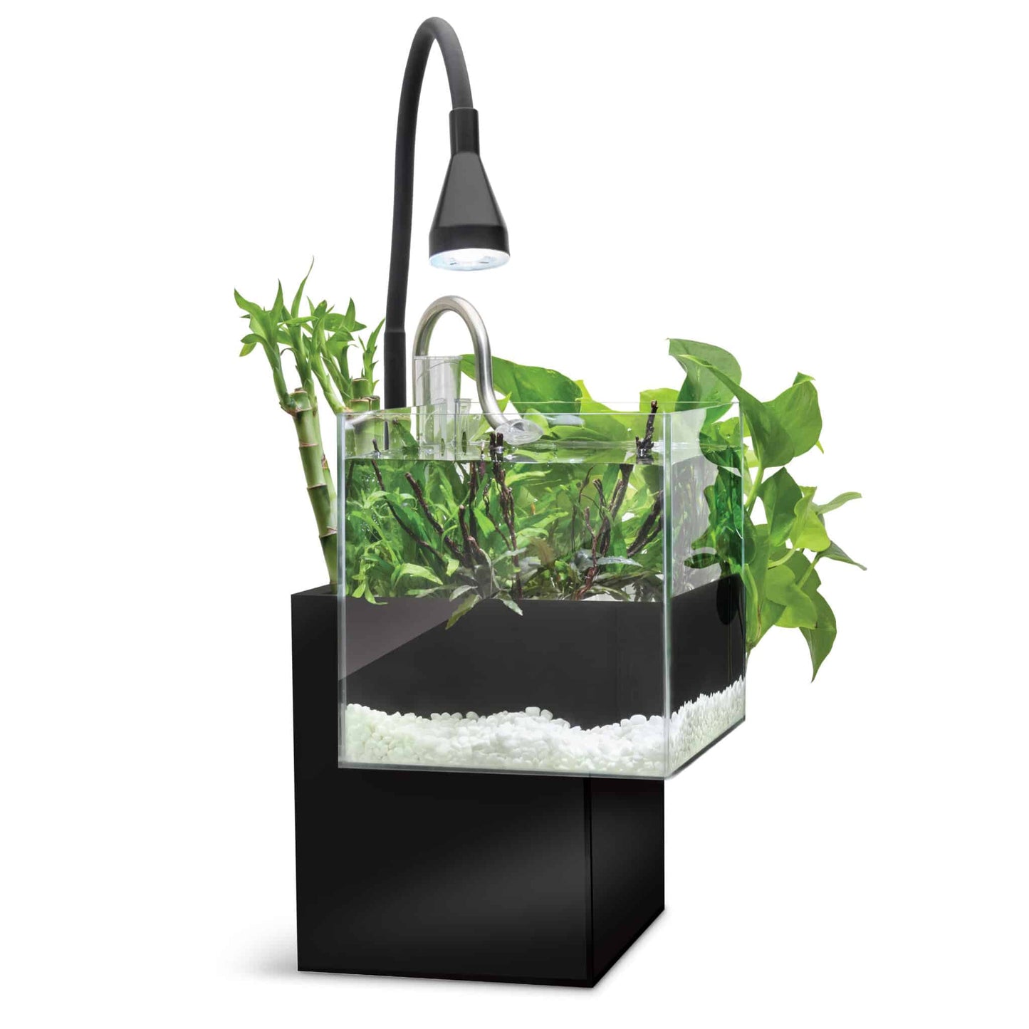 Fluval Kühl Microscaping Aquarium Kit, 2.1 US Gal / 8 L, Black