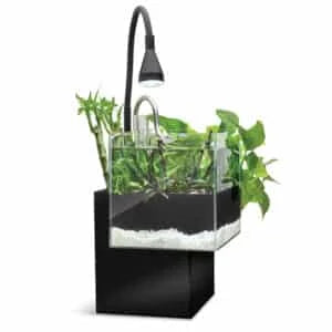 Fluval Kühl Microscaping Aquarium Kit, 2.1 US Gal / 8 L, Black