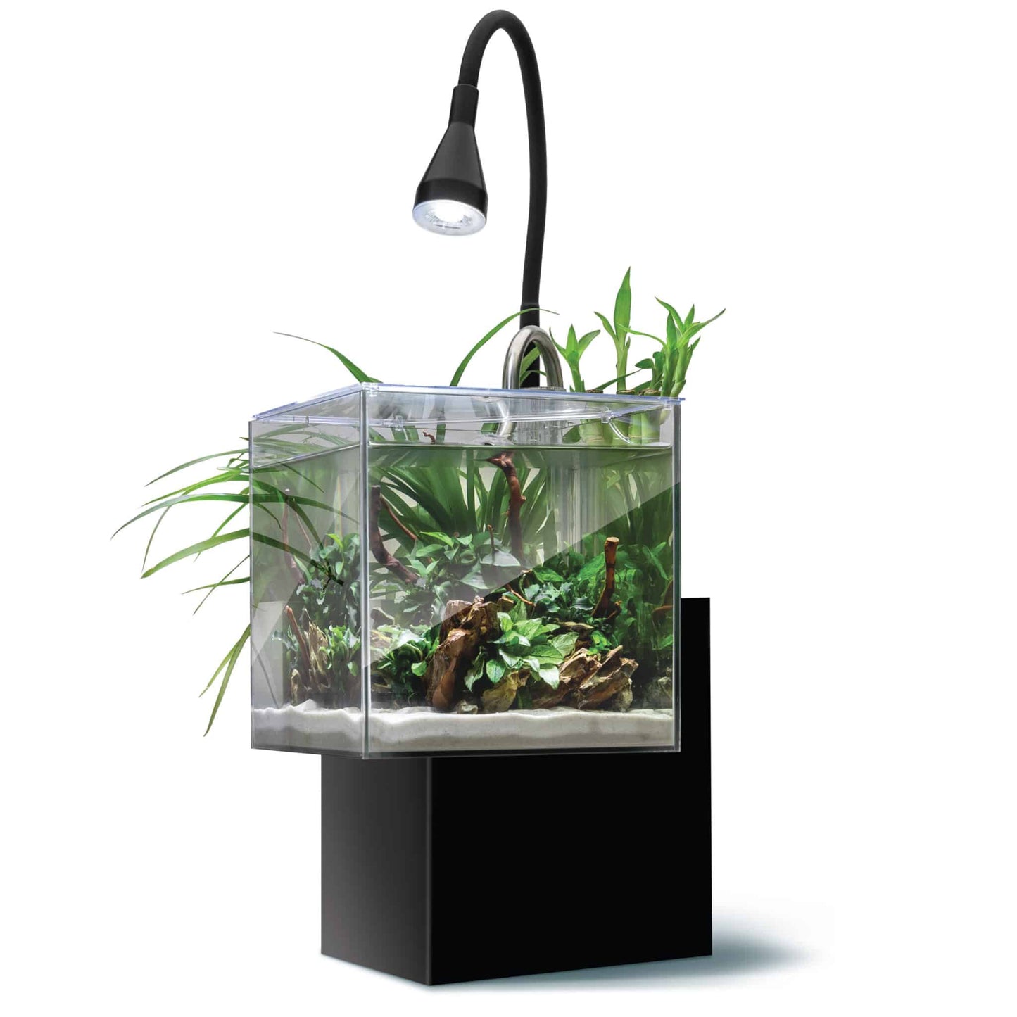 Fluval Kühl Microscaping Aquarium Kit, 2.1 US Gal / 8 L, Black