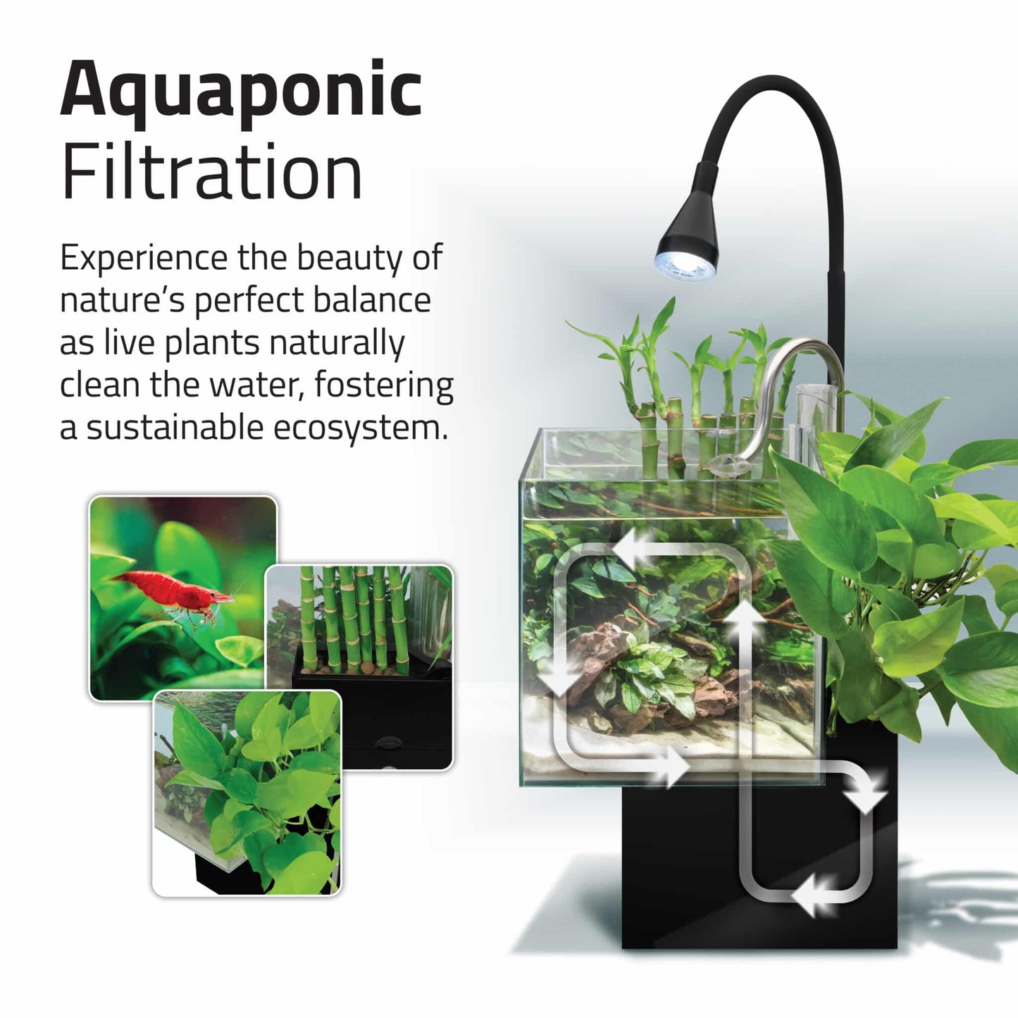 Fluval Kühl Microscaping Aquarium Kit, 2.1 US Gal / 8 L, Black