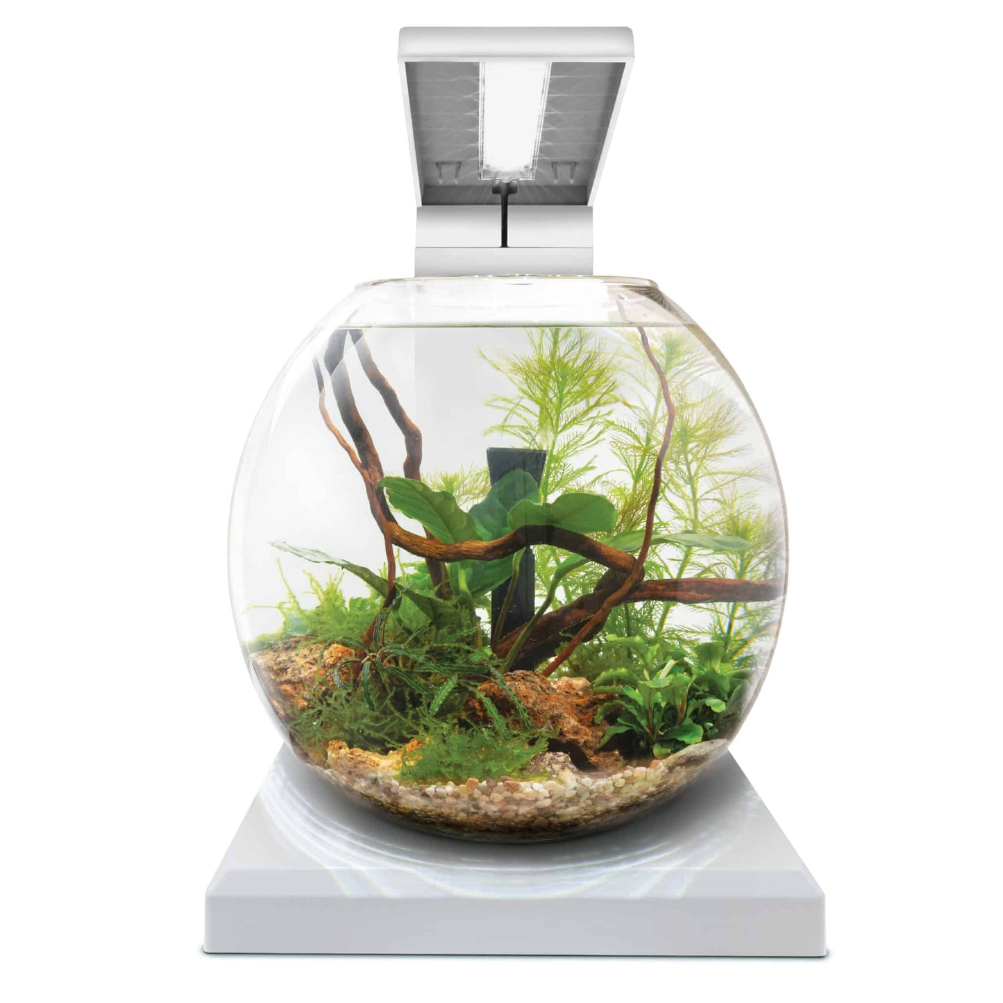 Fluval Liv Aquarium Kit, 1.6 US Gal / 6 L