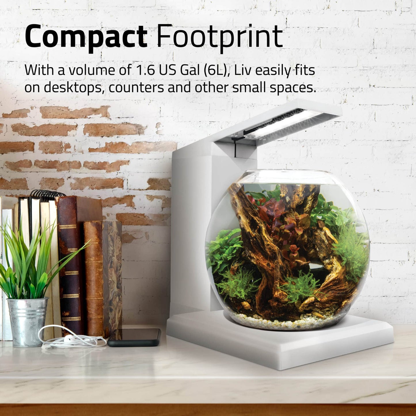 Fluval Liv Aquarium Kit, 1.6 US Gal / 6 L