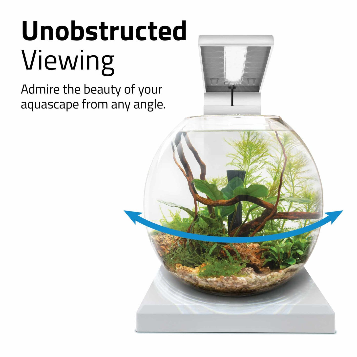 Fluval Liv Aquarium Kit, 1.6 US Gal / 6 L
