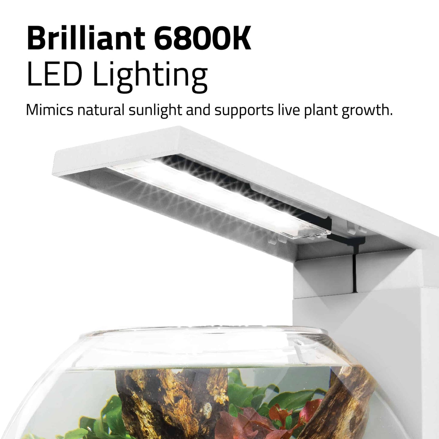 Fluval Liv Aquarium Kit, 1.6 US Gal / 6 L