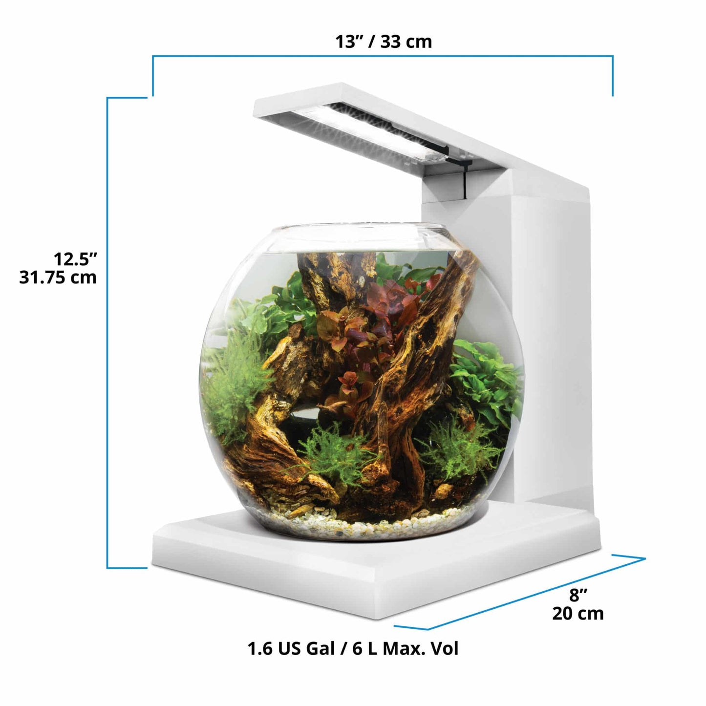 Fluval Liv Aquarium Kit, 1.6 US Gal / 6 L
