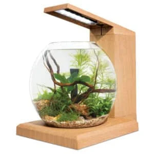 Fluval Liv Aquarium Kit, 1.6 US Gal / 6 L