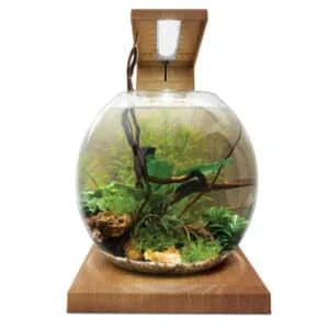 Fluval Liv Aquarium Kit, 1.6 US Gal / 6 L
