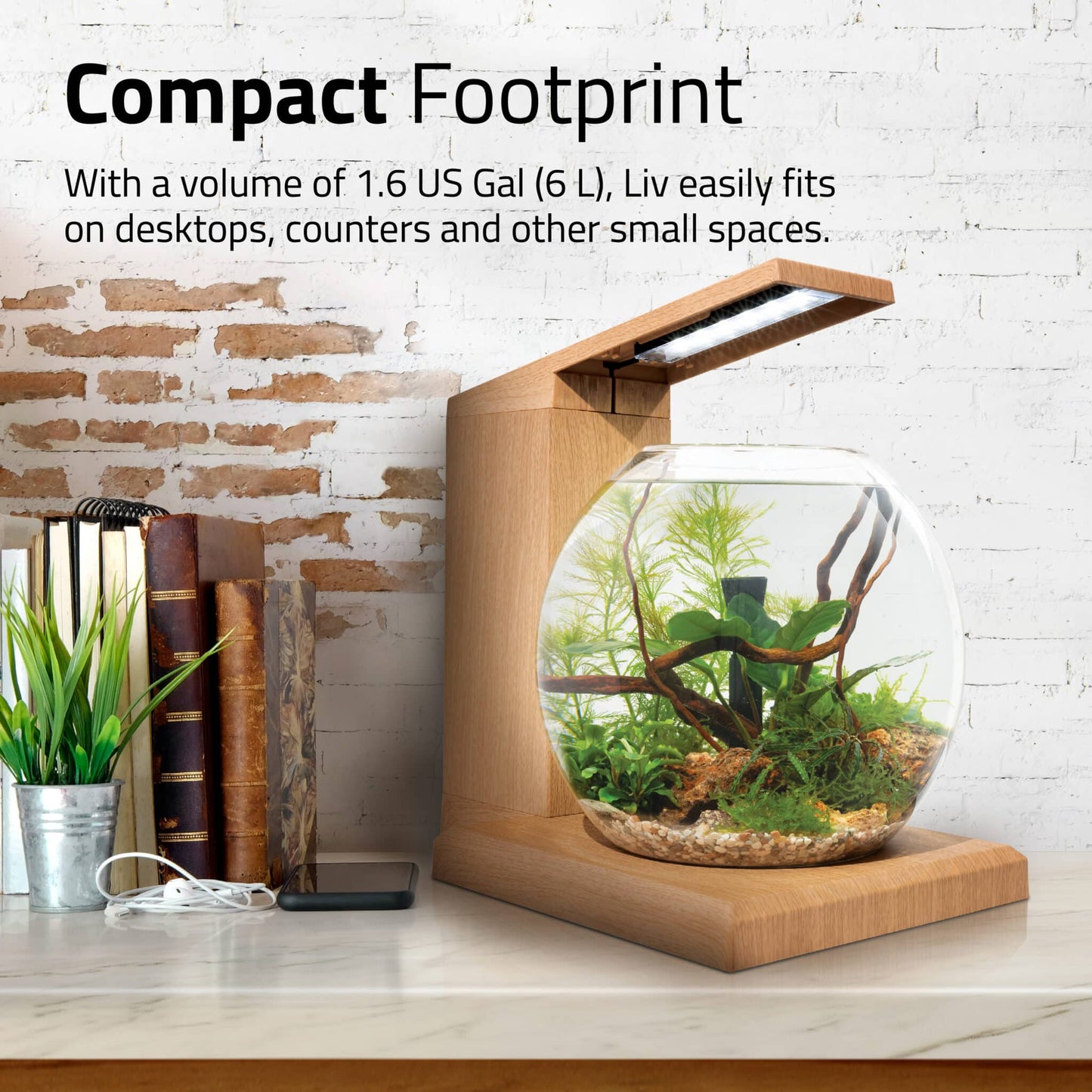 Fluval Liv Aquarium Kit, 1.6 US Gal / 6 L