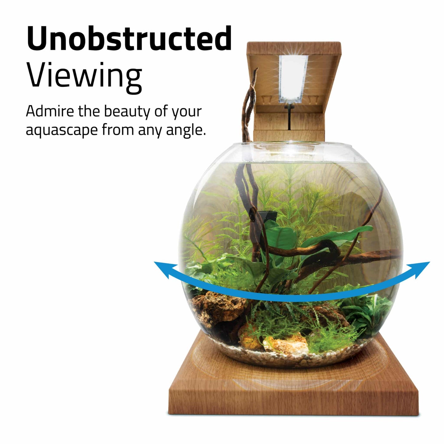 Fluval Liv Aquarium Kit, 1.6 US Gal / 6 L