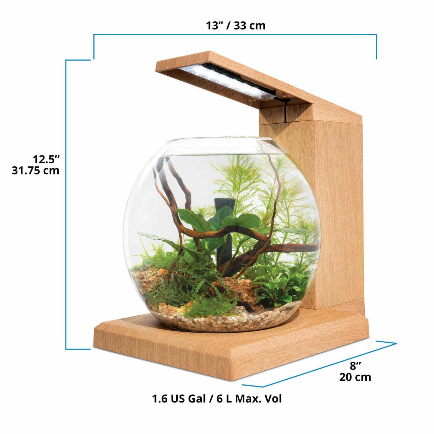 Fluval Liv Aquarium Kit, 1.6 US Gal / 6 L