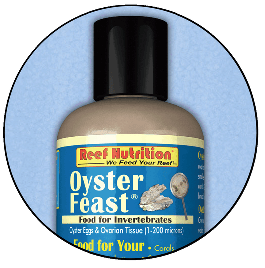 Reef Nutrition Oyster Feast