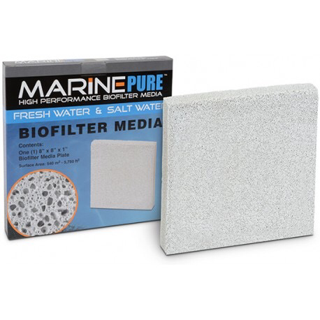 Marine Pure Media